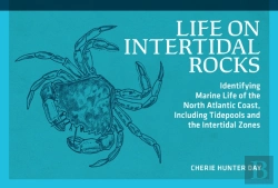 Bertrand.pt - Life On Intertidal Rocks