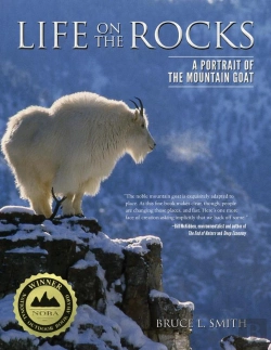 Bertrand.pt - Life On The Rocks