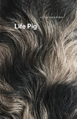 Bertrand.pt - Life Pig