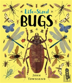 Bertrand.pt - Life-Sized Bugs