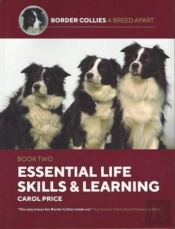 Life Skills And Learning