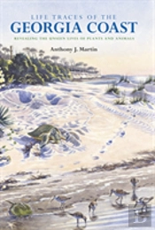 Life Traces Of The Georgia Coast