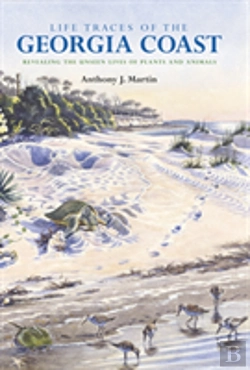 Bertrand.pt - Life Traces Of The Georgia Coast