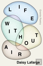 Life Without Air