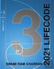 Lifecode #3 Yearly Forecast For 2021 Vis