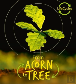 Bertrand.pt - Lifecycles - Acorn To Tree