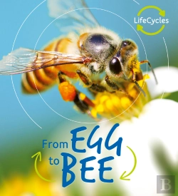 Bertrand.pt - Lifecycles: Egg To Bee