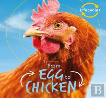 Lifecycles: Egg To Chicken