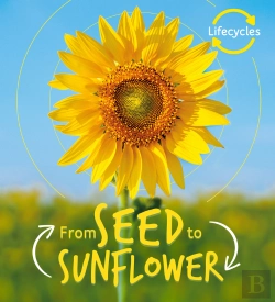 Bertrand.pt - Lifecycles: Seed To Sunflower