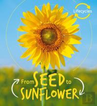 Lifecycles: Seed To Sunflower