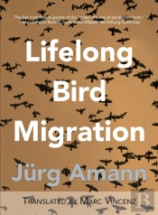 Lifelong Bird Migration
