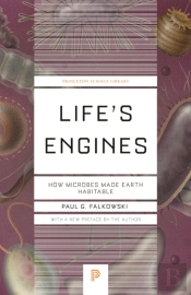 Life'S Engines