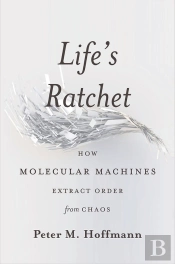 Life'S Ratchet