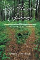 Life'S Uncertain Journeys