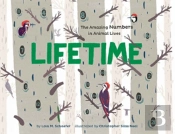 Lifetime