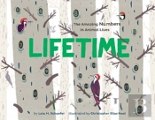 Lifetime