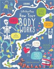 Lift-The-Flap How Your Body Works