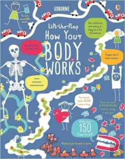 Bertrand.pt - Lift-The-Flap How Your Body Works