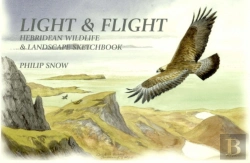 Bertrand.pt - Light And Flight