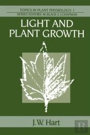 Light And Plant Growth