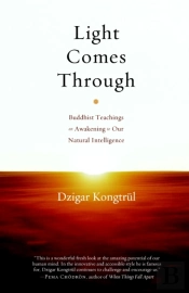 Light Comes Through
