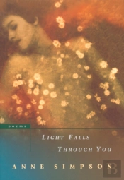 Light Falls Through You