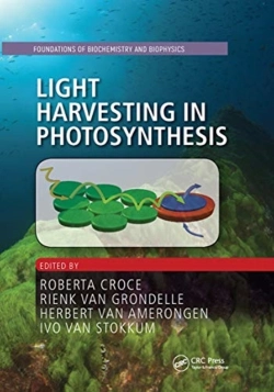 Bertrand.pt - Light Harvesting In Photosynthesis