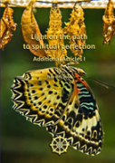 Light On The Path To Spiritual Perfection - Additional Articles I