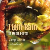 Light Rain In Deep Forest