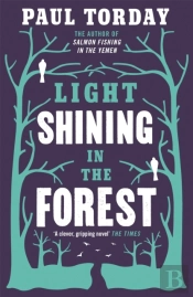 Light Shining In The Forest