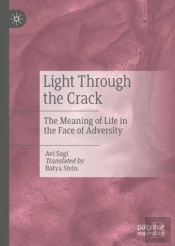 Light Through The Crack