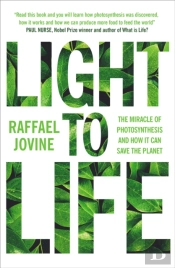 Light To Life
