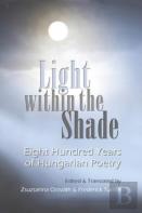 Light Within The Shade