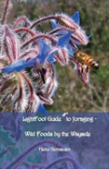 Lightfoot Guide To Foraging - Wild Foods By The Wayside