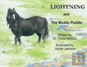 Lightning And The Muddy Puddle