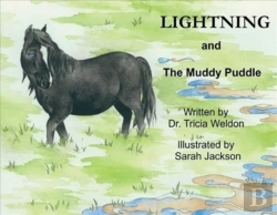 Bertrand.pt - Lightning And The Muddy Puddle