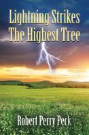 Lightning Strikes The Highest Tree