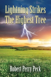 Lightning Strikes The Highest Tree