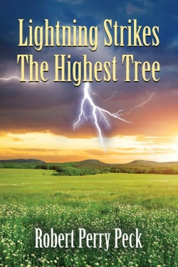 Bertrand.pt - Lightning Strikes The Highest Tree