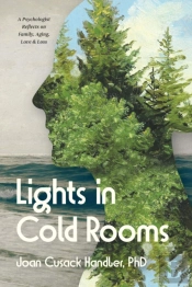 Lights In Cold Rooms