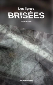 Lignes Brisees