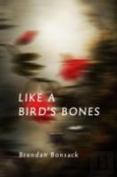 Like A Bird'S Bones
