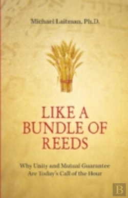 Bertrand.pt - Like A Bundle Of Reeds*************