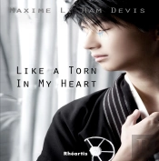 Like A Torn In My Heart...