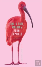 Like A Tree, Walking