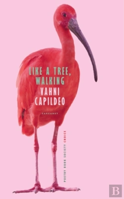 Bertrand.pt - Like A Tree, Walking