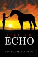 Like An Echo