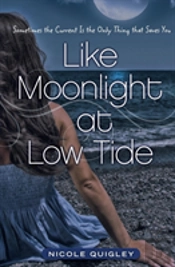Like Moonlight At Low Tide