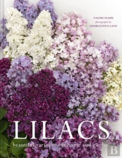 Bertrand.pt - Lilacs