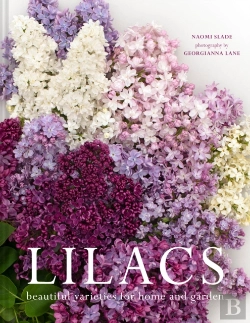 Bertrand.pt - Lilacs